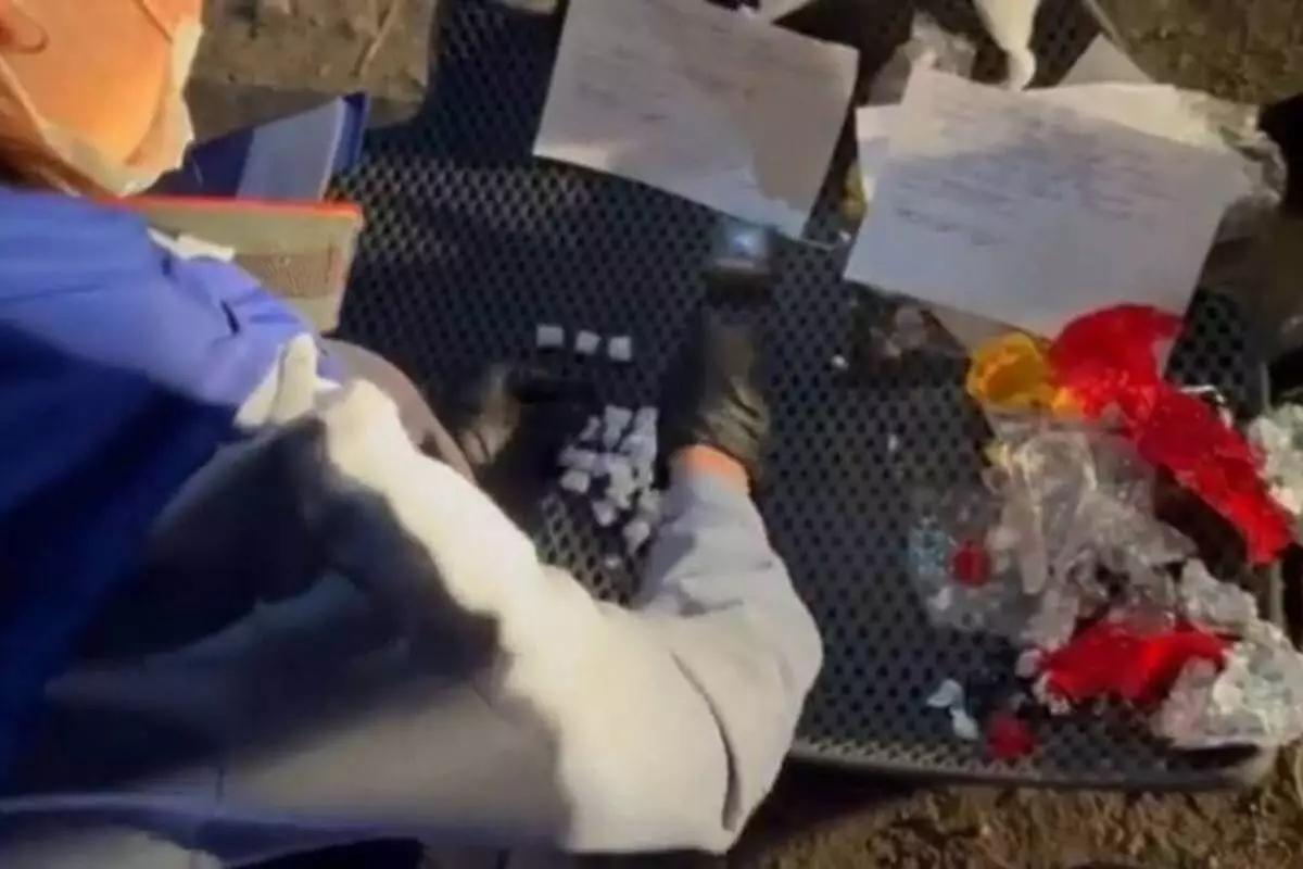 В Кокшетау у закладчицы-гастролерши нашли 185 свертков с «синтетикой» (ВИДЕО)