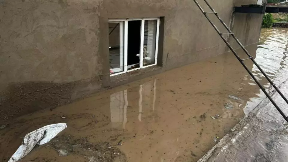 Грязевой поток затопил более 200 дворов и 20 домов в Жамбылской области