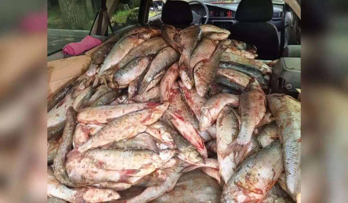 Жетісу облысында 3 миллион теңгенің балығын аулаған браконьер ұсталды