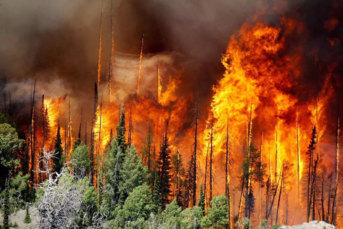 Площадь природных пожаров в Якутии превысила 500 тысяч гектаров