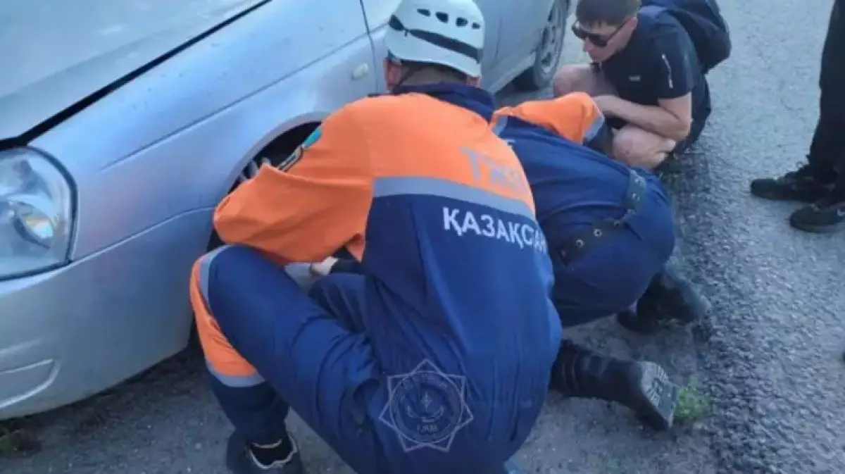 Собака застряла под машиной в Усть-Каменогорске
