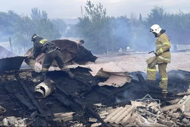 Крупный пожар потушили в Алматинскиой области