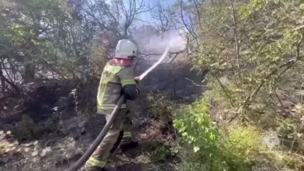 Поезд воркута новороссийск сошел с рельсов сегодня