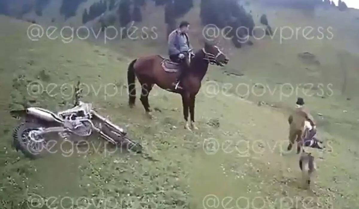 Чабаны избили плеткой мотоциклистов в алматинских горах (ВИДЕО)