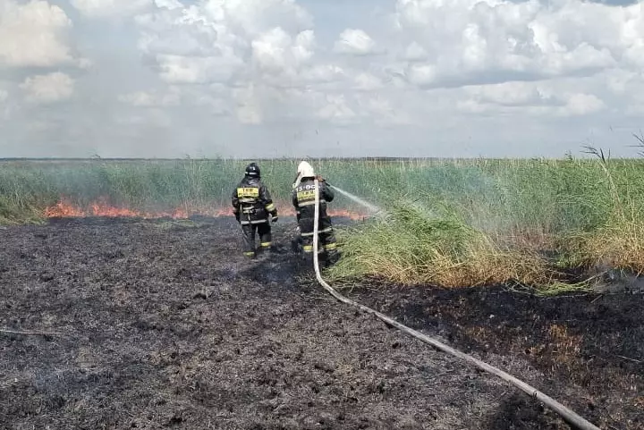 Камыш загорелся близ села в Акмолинской области