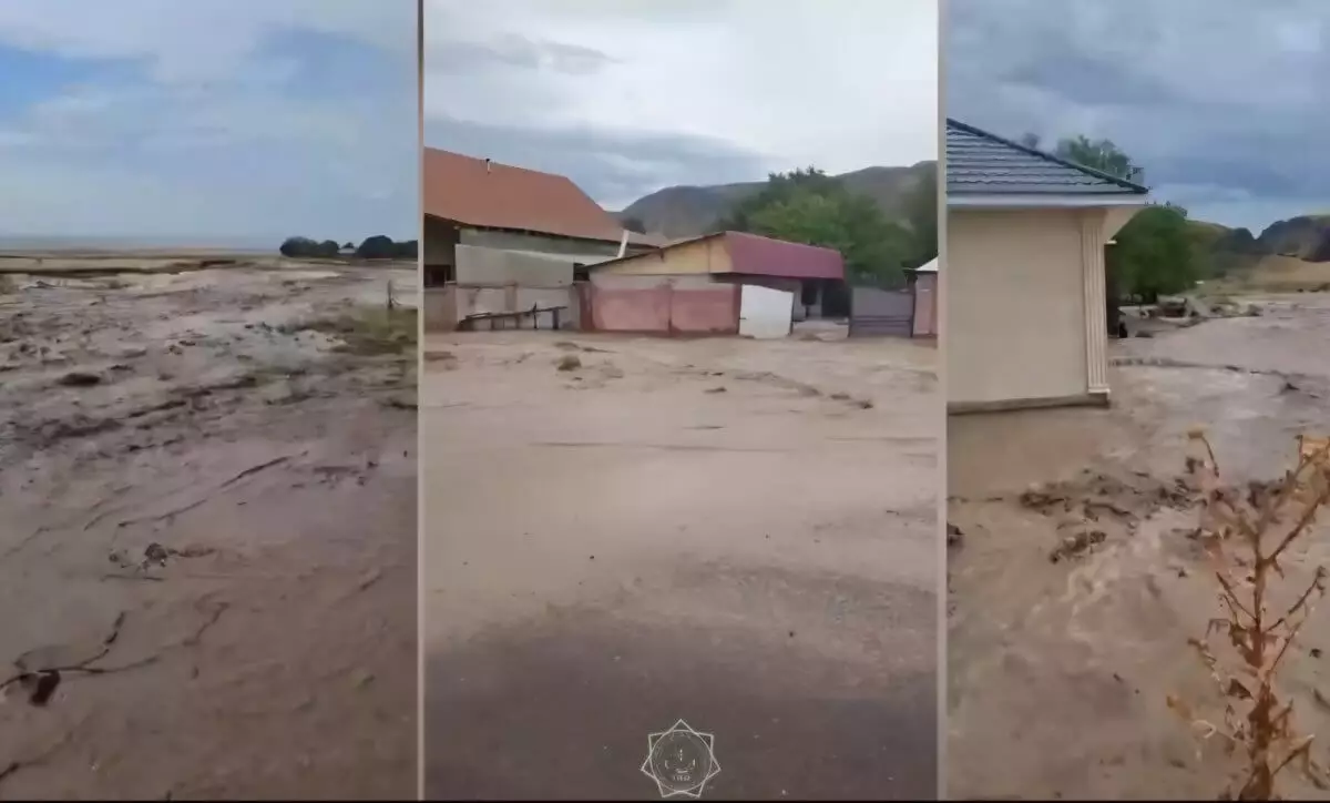 Потоки воды сошли на село в Алматинской области
