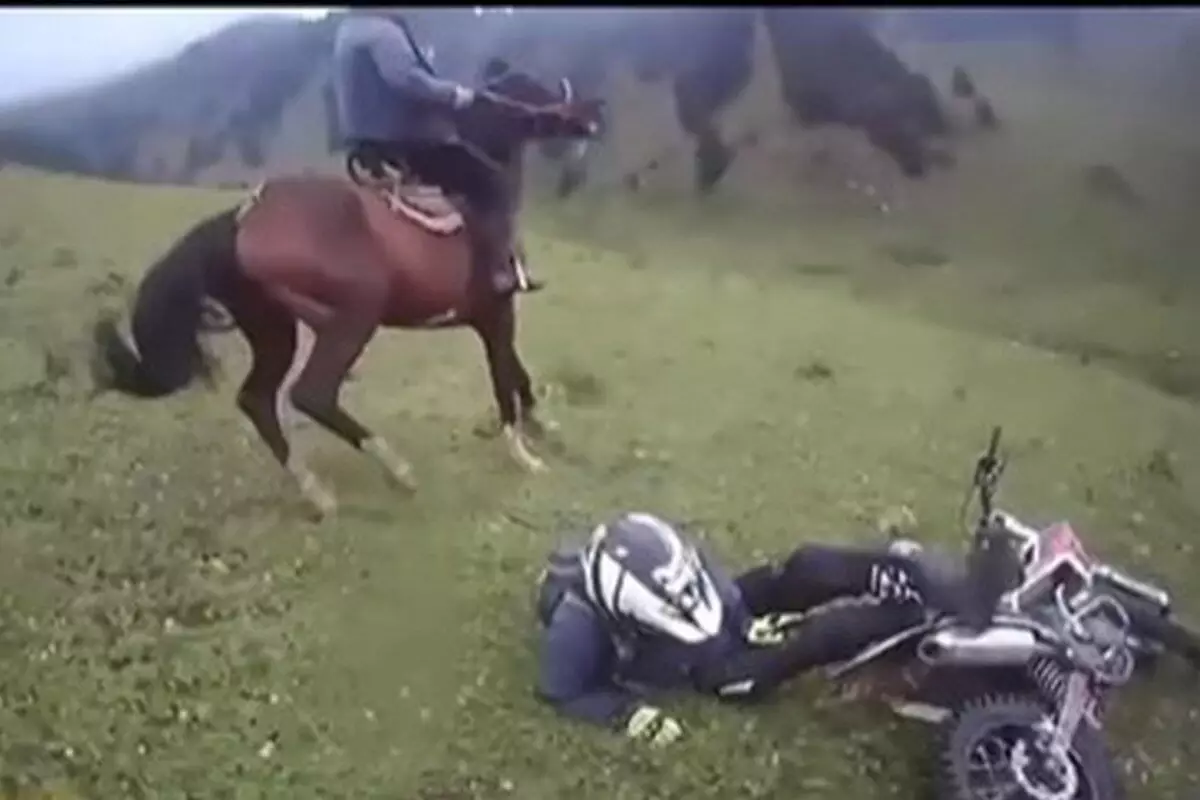 Задержаны подозреваемые в нападении на мотоциклистов в алматинских горах (ВИДЕО)