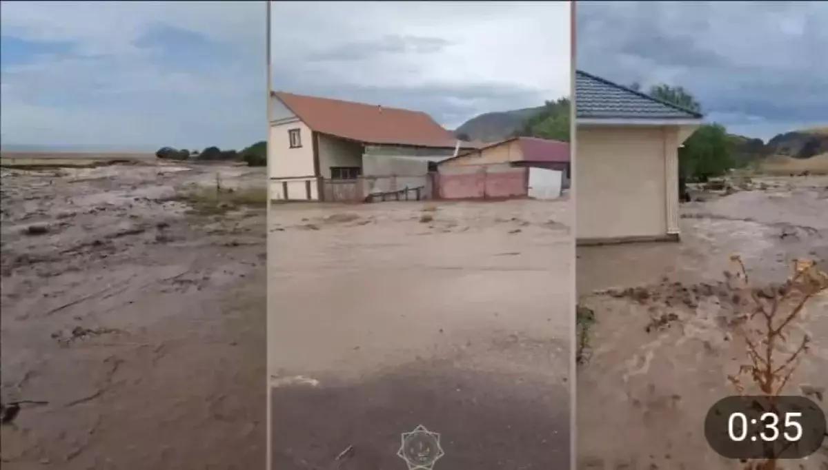 Грязевой поток затопил 15 дворов и 3 дома в Алматинской области