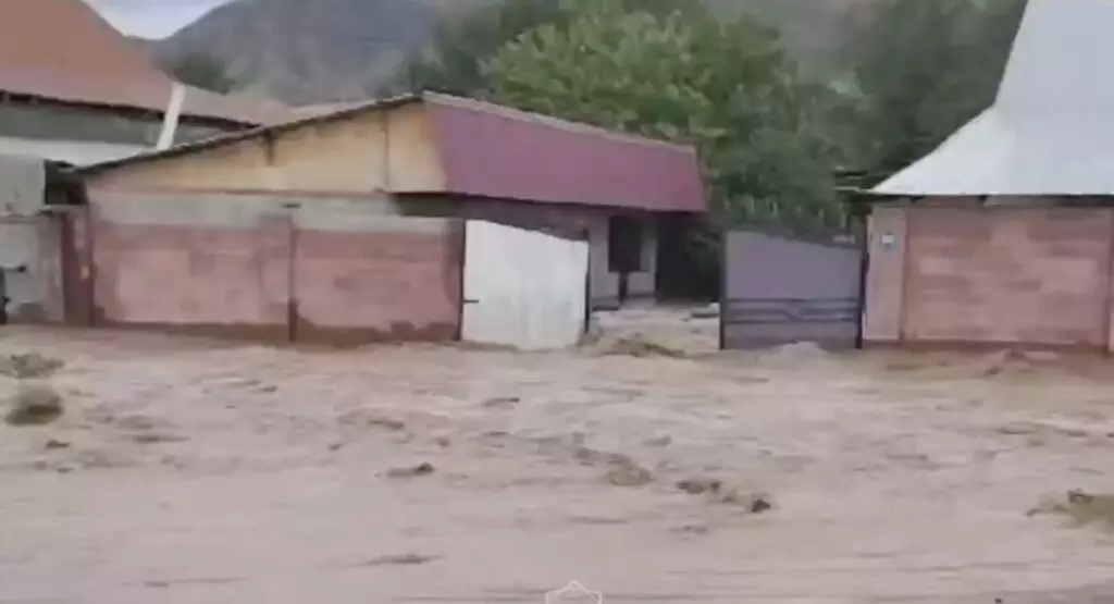 В Алматинской области грязевой поток затопил 15 дворов и три дома