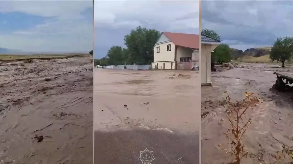 Непогода: в одном из сел Алматинской области подтопило дома (видео)