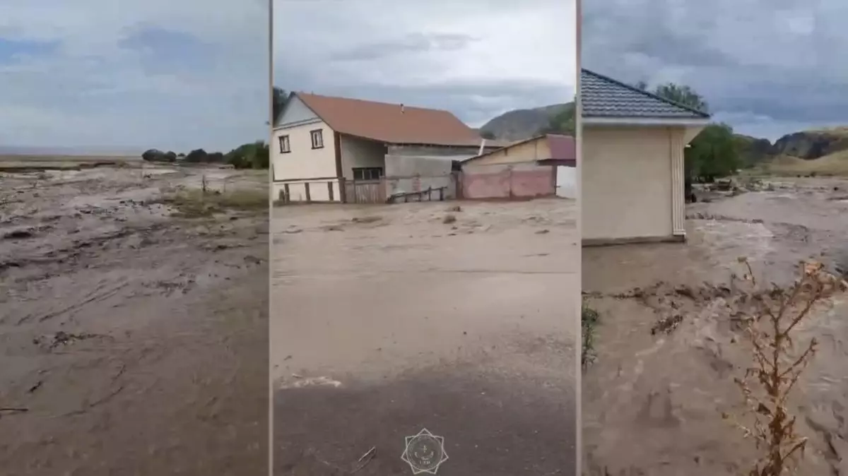 Алматы облысында тұрғын үйлер су астында қалды (ВИДЕО)