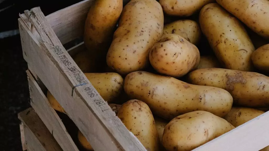 Казахстан заработал на продаже картофеля 31 миллион долларов