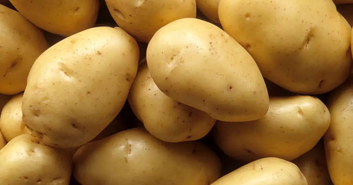   Картопты экспорттаудан рекордтық табысқа жетті   