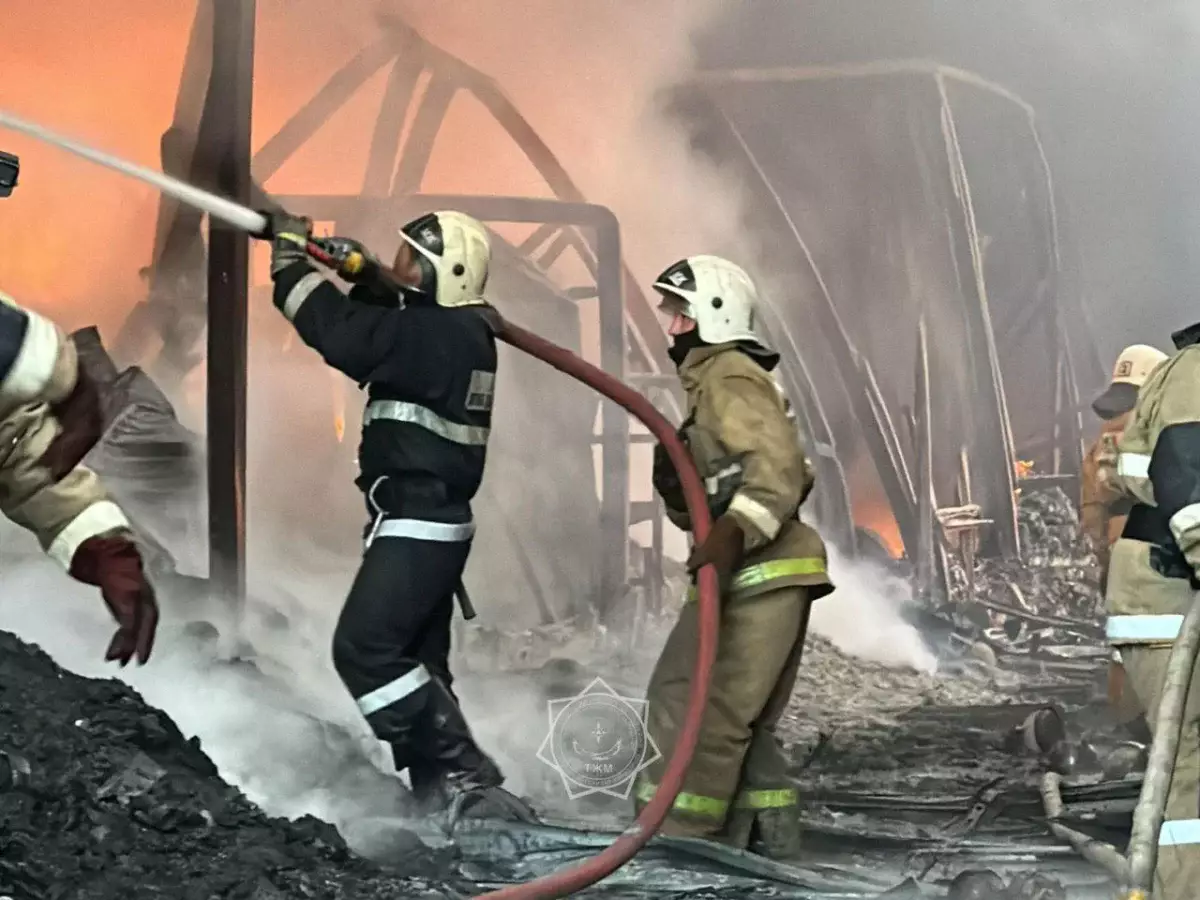 30 тонн воды сбросили авиацией при тушении крупного пожара в Алматы