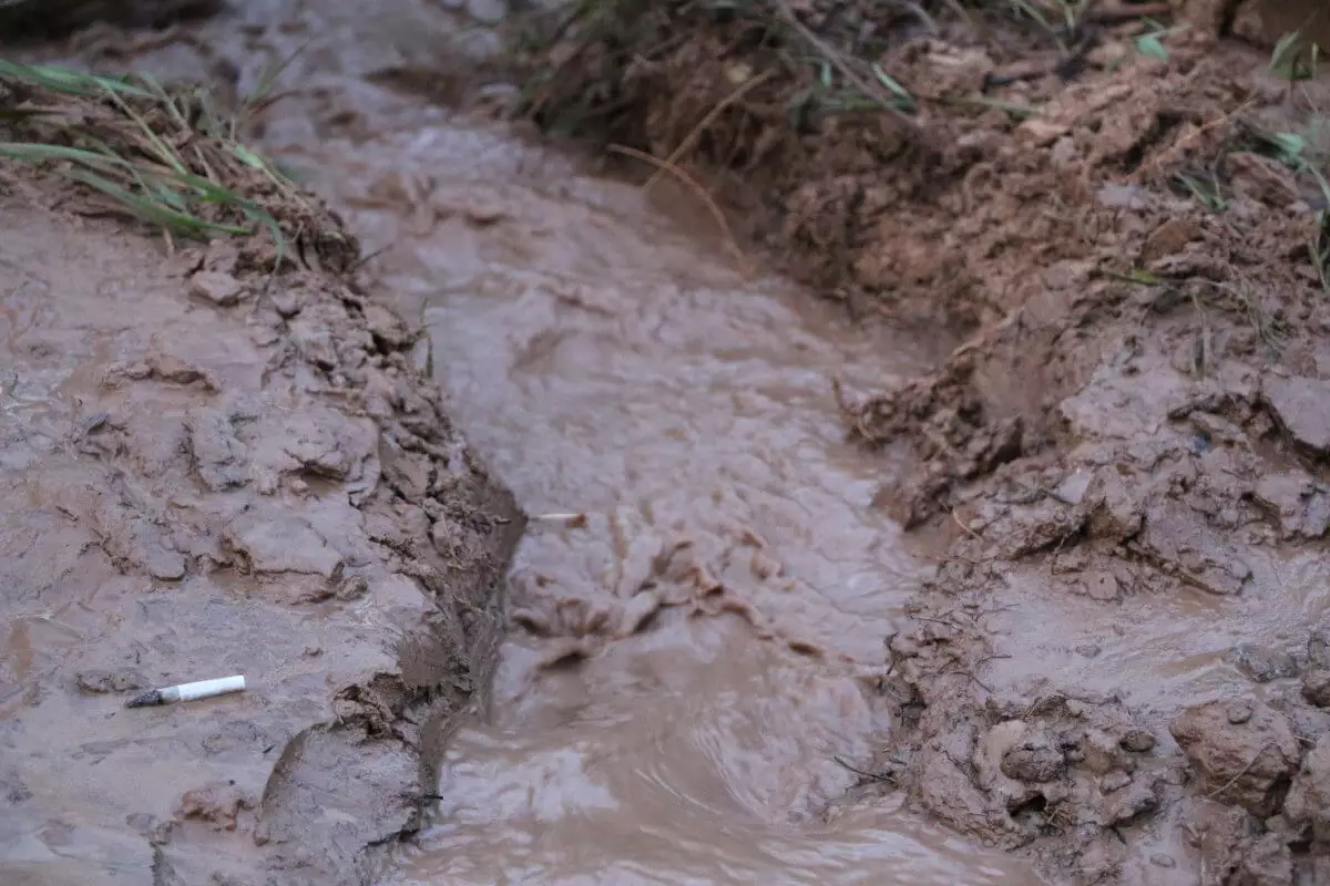Грузовик смыло с дороги потоком грязи в Алматинской области