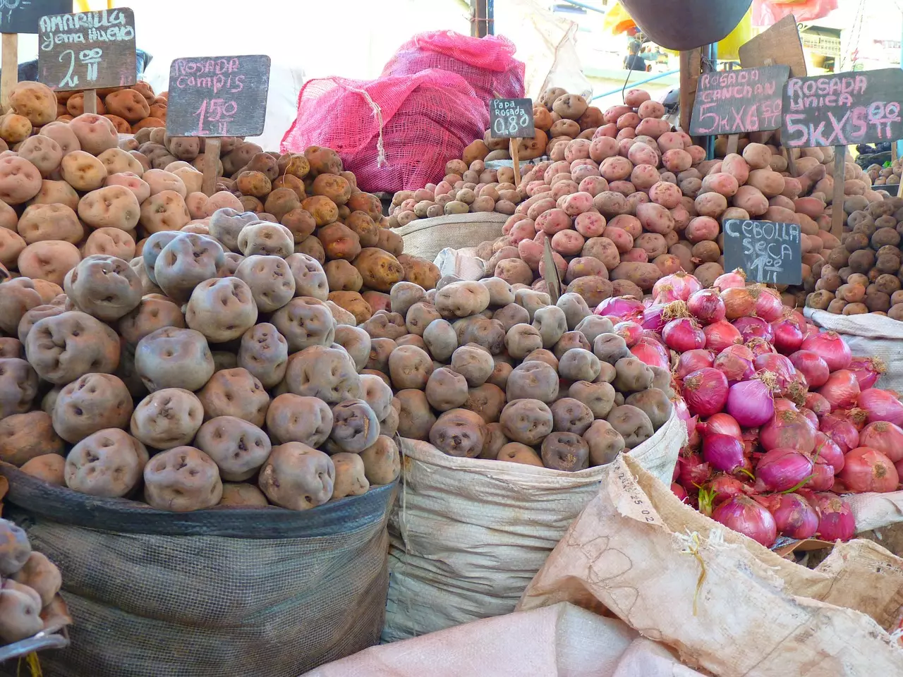 Стабилизировать цены на картофель, морковь, лук и капусту обещают с сентября в Алматы