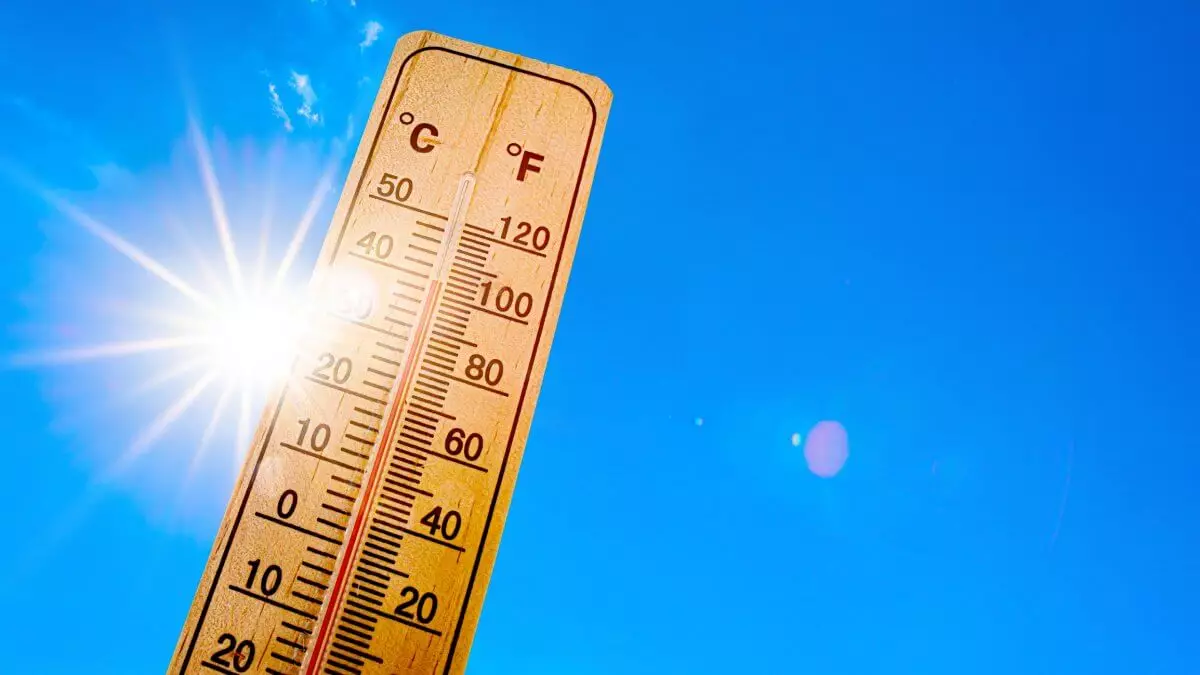 Казахстан пережил самый жаркий июнь за десятилетие