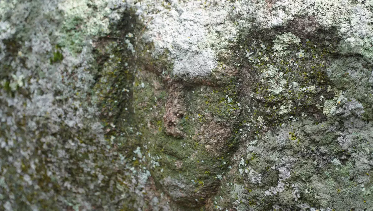 Древнейший артефакт с лицом человека обнаружили в Акмолинской области
