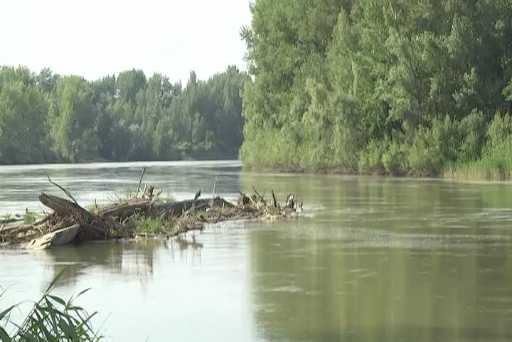 Мост ушел под воду и оставил сельчан без кормов на зиму в Павлодарской области