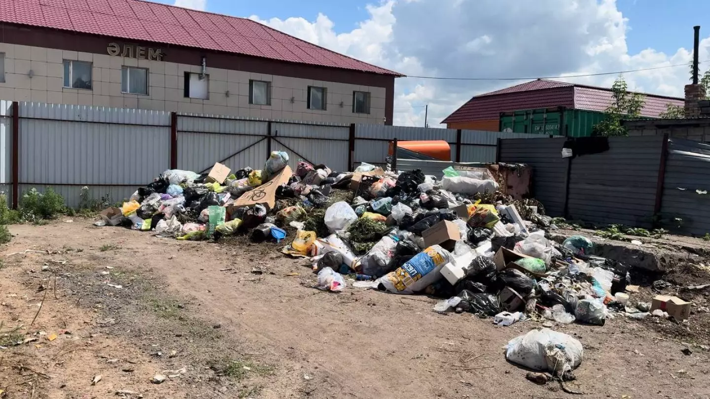 Свалки, вонь и крысы: жители Ерейментау близ Астаны оказались в мусорной ловушке
