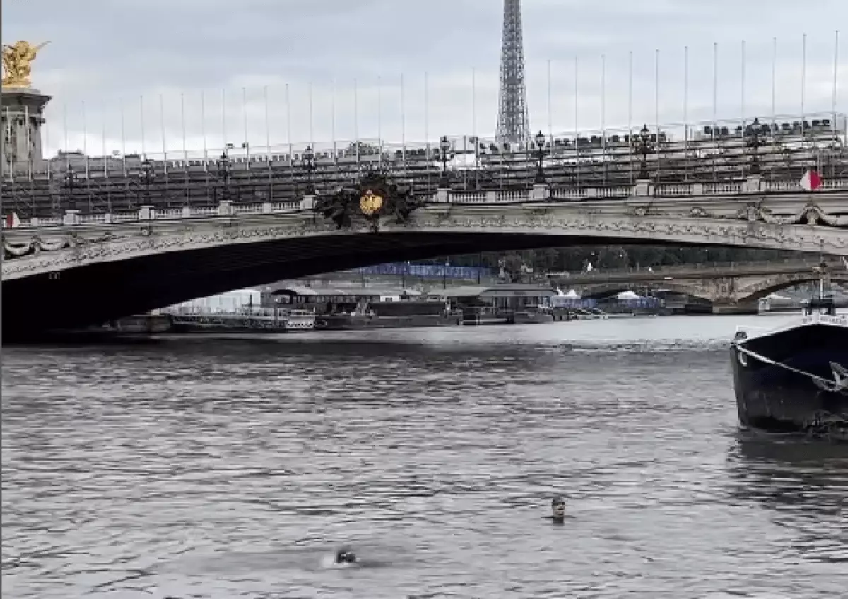 Мэр Парижа искупалась в реке, в которой запрещено купаться с 1923 года