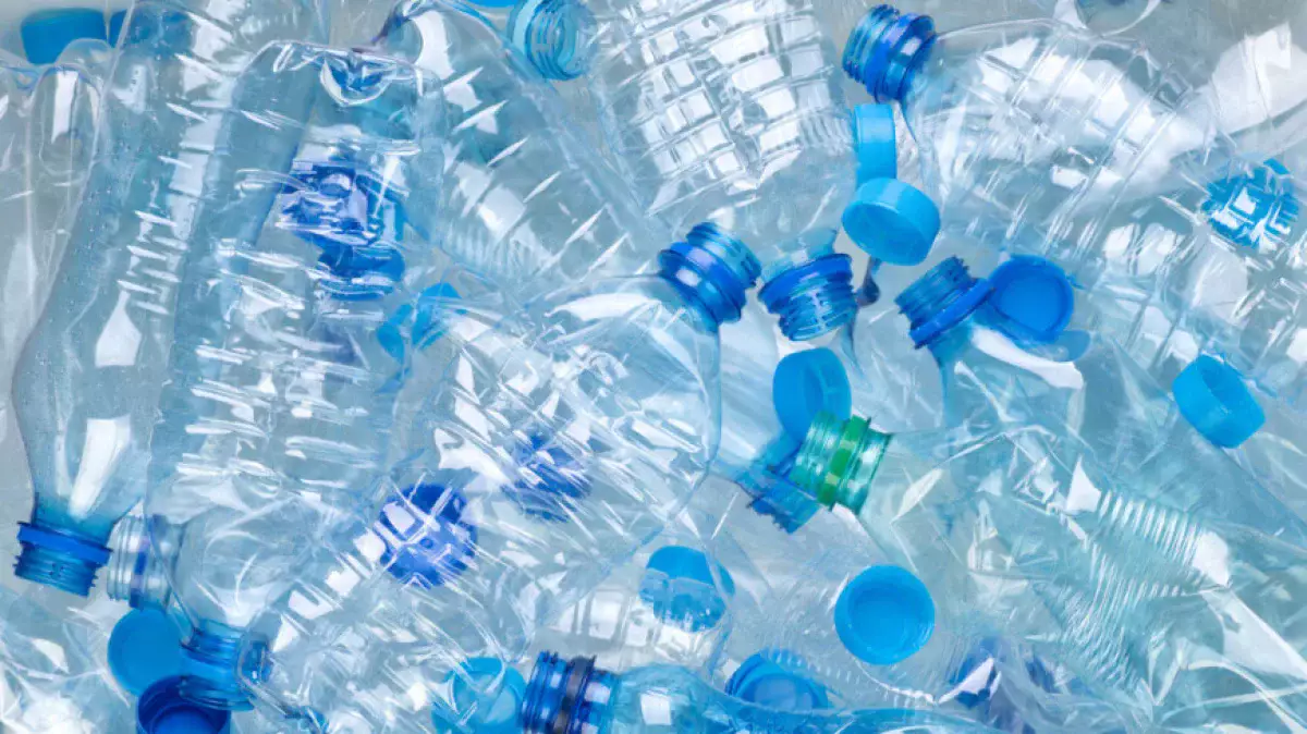 Биоразлагаемый пластик из рыбных отходов создали в России