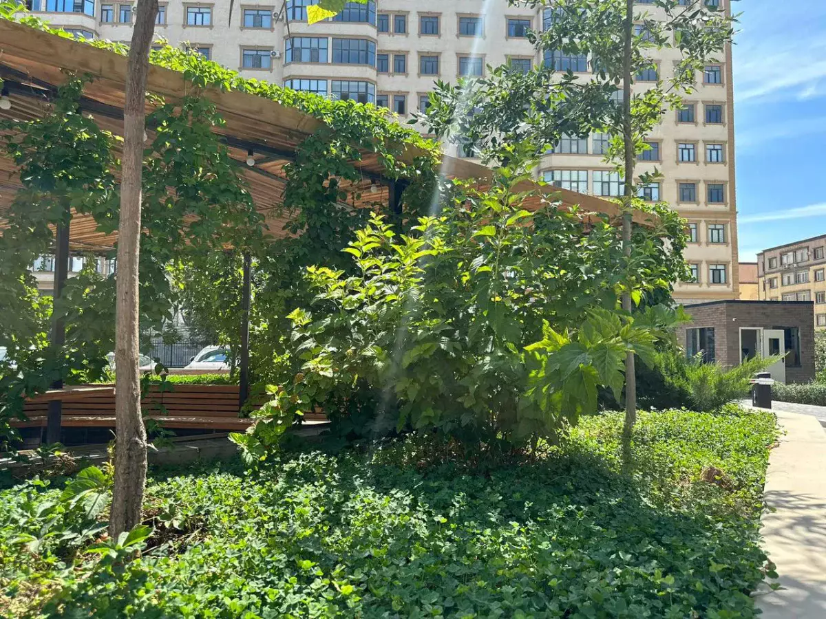 В Актау двор жилого комплекса превратился в зеленый оазис