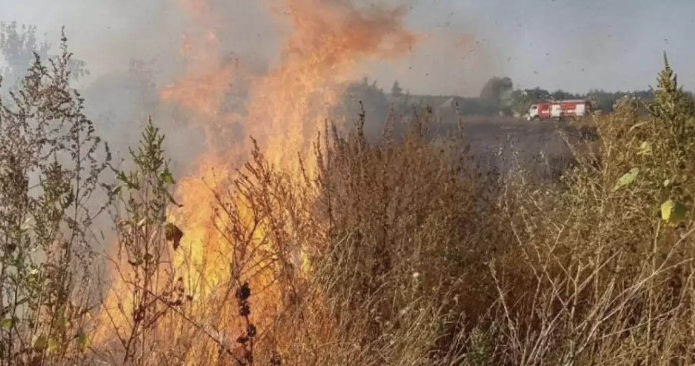 Пожар тушат возле озера Талдыколь в Астане