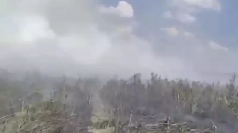 В Астане произошёл пожар у озера Талдыколь