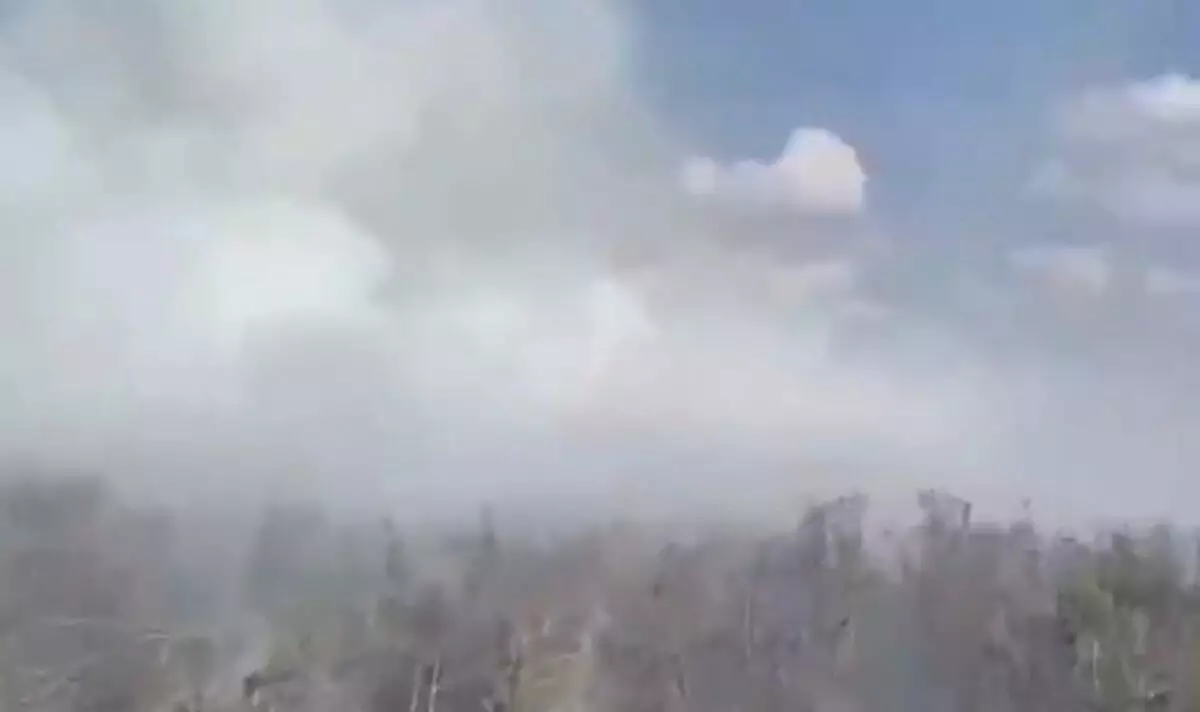 Сухостой горит в районе Талдыколя (ВИДЕО)