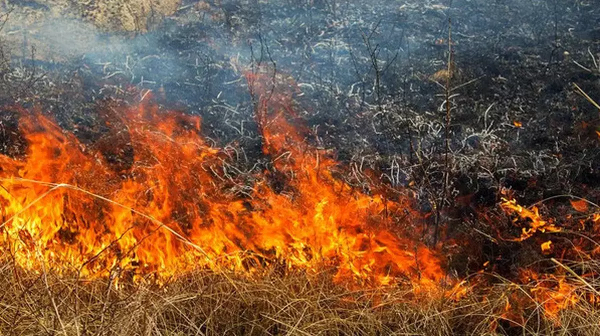 Крупный пожар сухостоя произошел близ Астаны