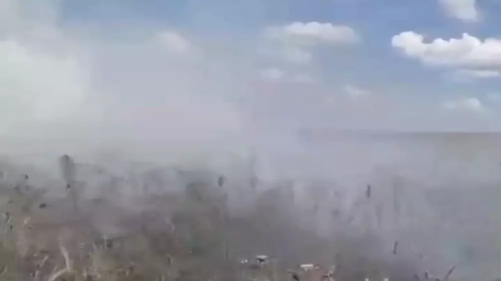 Пожар разгорелся вблизи озера Талдыколь в Астане