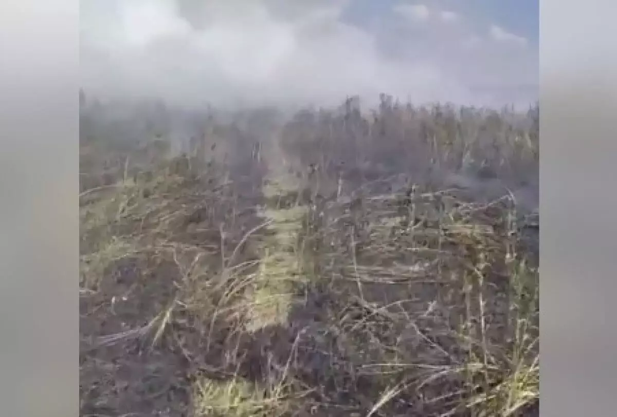 В МЧС показали, как тушили крупный пожар в районе Талдыколя в Астане