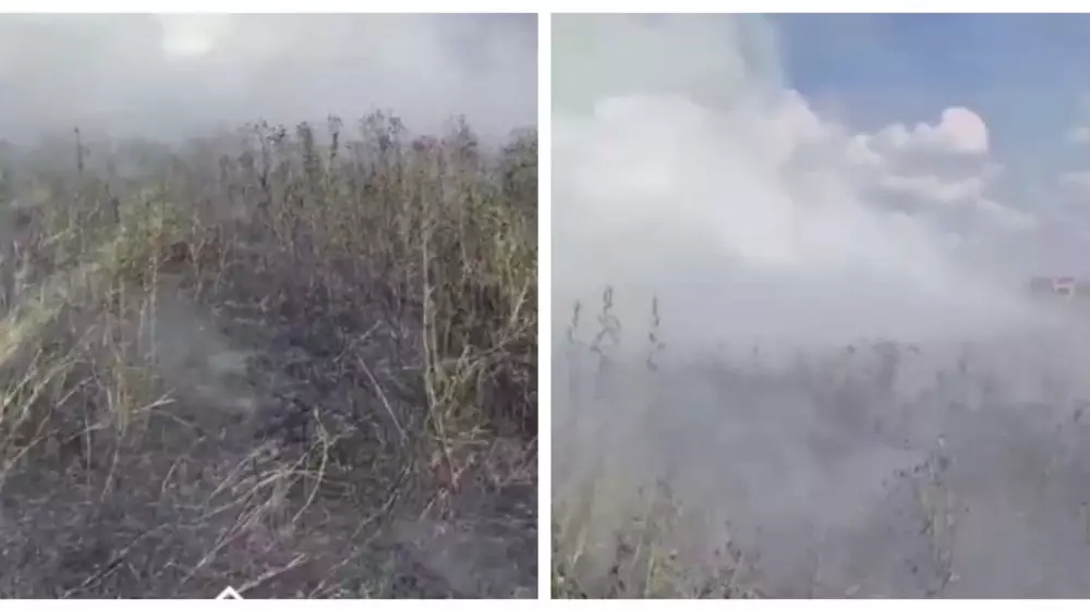 Пожар у озера Талдыколь полностью ликвидирован - МЧС