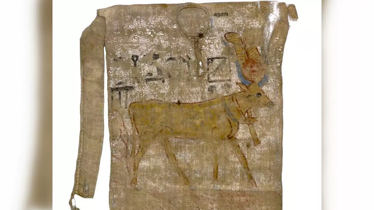 Древнеегипетскую тунику с рисунком обнаружили археологи