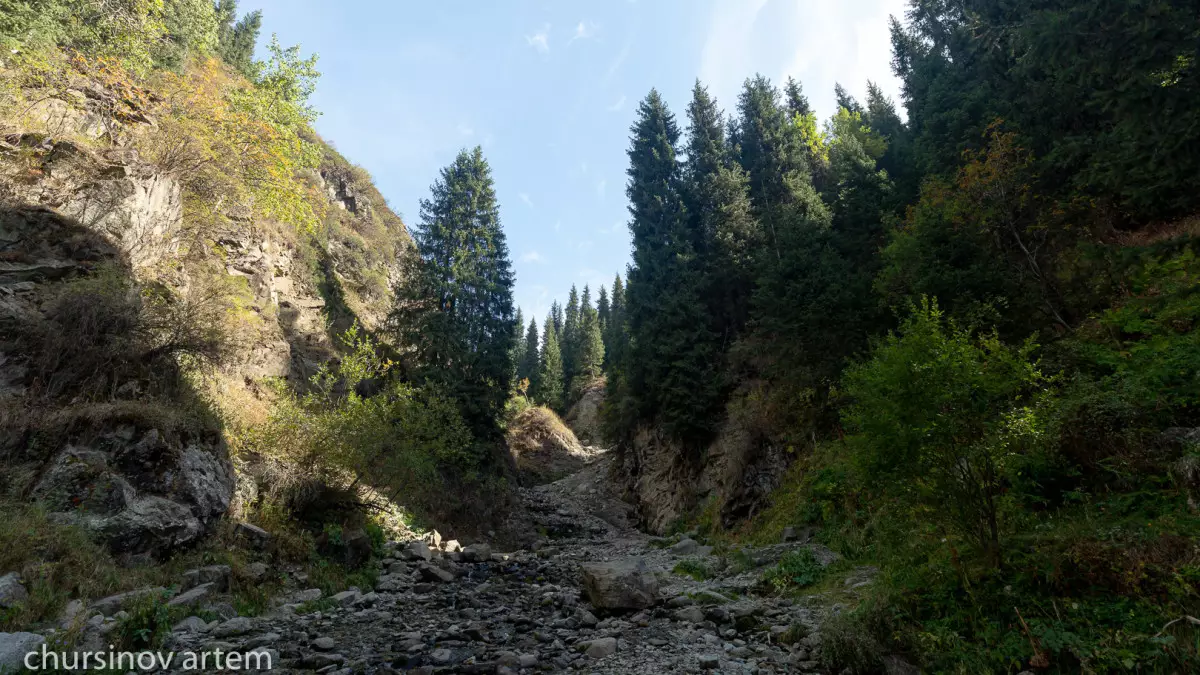 Пропавшего 67-летнего мужчину нашли на плато Ассы в Алматинской области