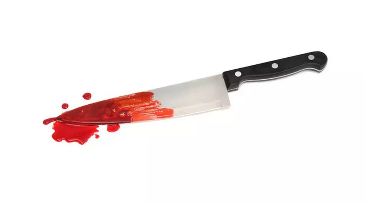 Астанчанин ударил ножом сожительницу и попытался сделать харакири