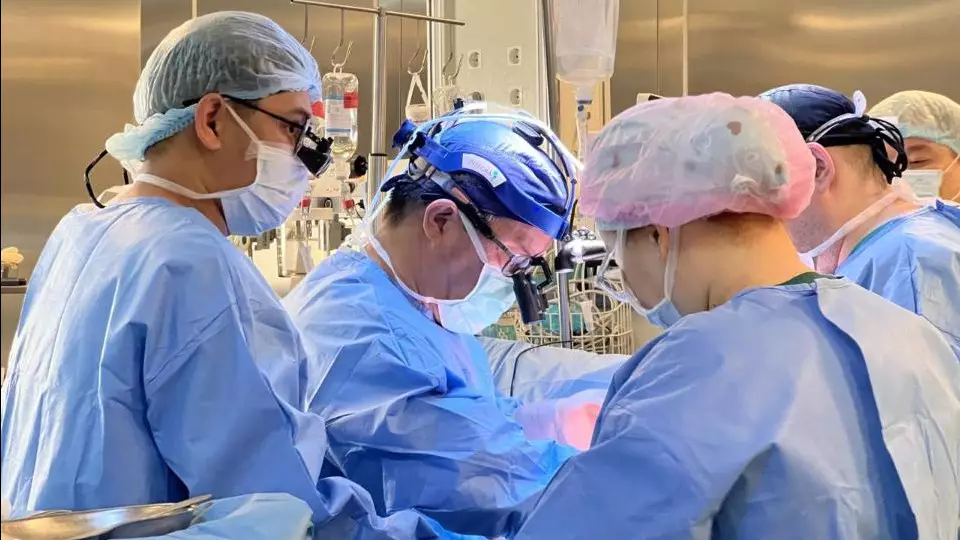 Донорлық ағзаларды трансплантаттау бес ауыр пациенттің өмір сүруіне мүмкіндік берді