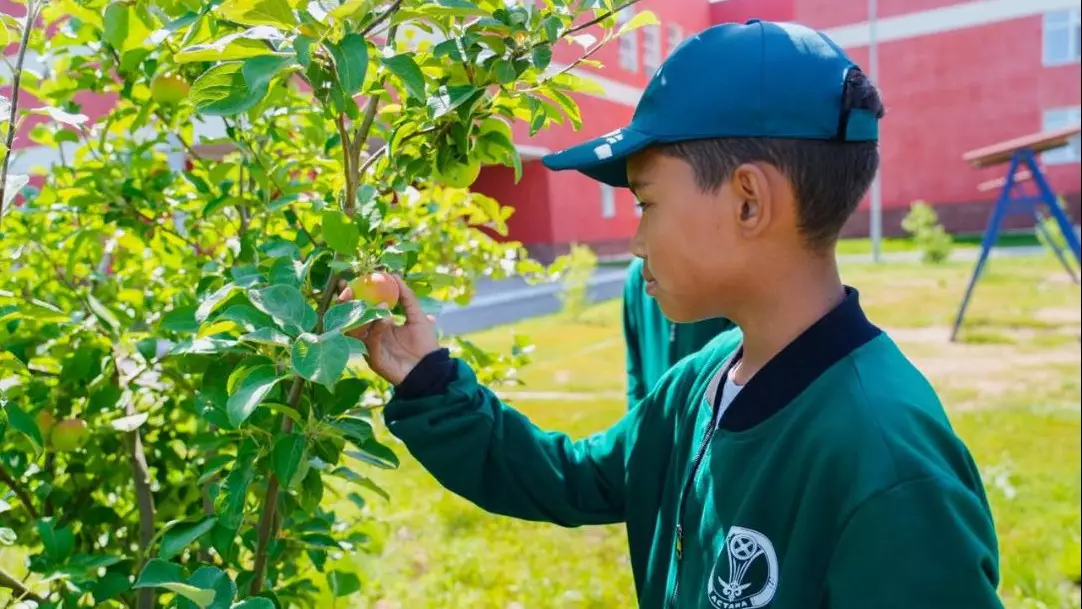 Яблоневый сад посадили столичные школьники