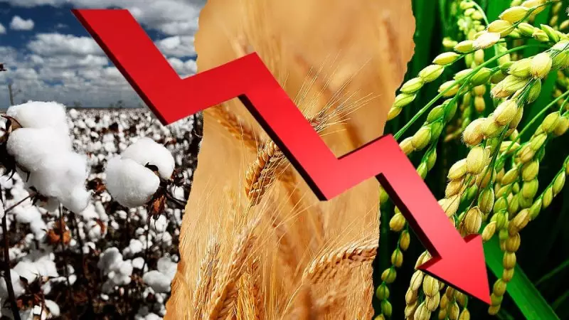 Посевы пшеницы и риса сократили в Казахстане
