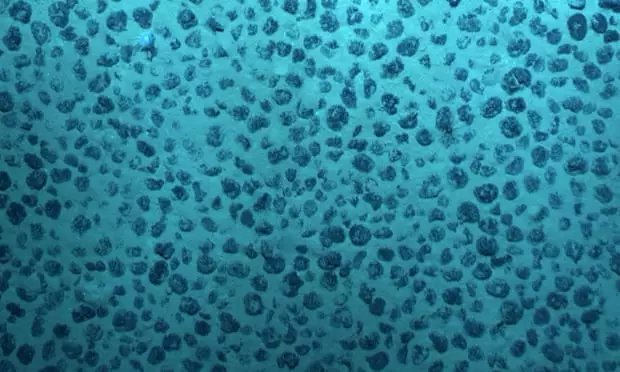 Новая версия происхождения жизни: «темный кислород» в глубинах Тихого океана