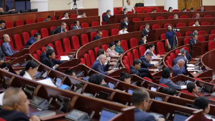 Депутаты приняли законопроект для защиты узбекистанцев от инфоцыган
