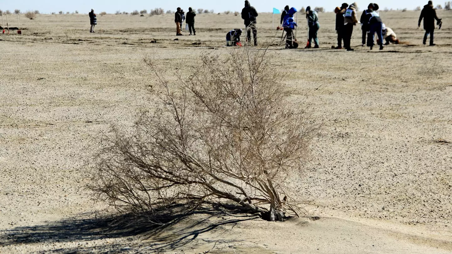 Китай поможет Казахстану посадить лес на дне Аральского моря