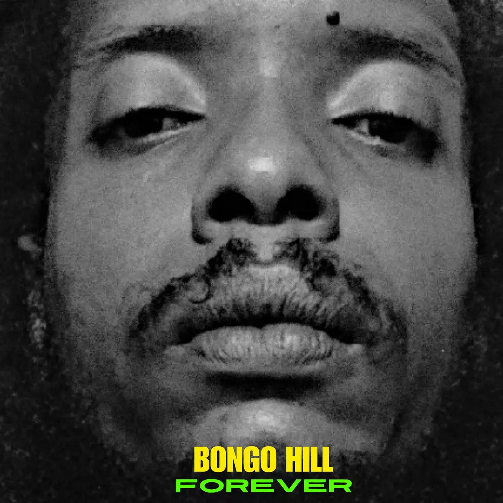Новый альбом I Am King Bongo - Bongo Hill Forever