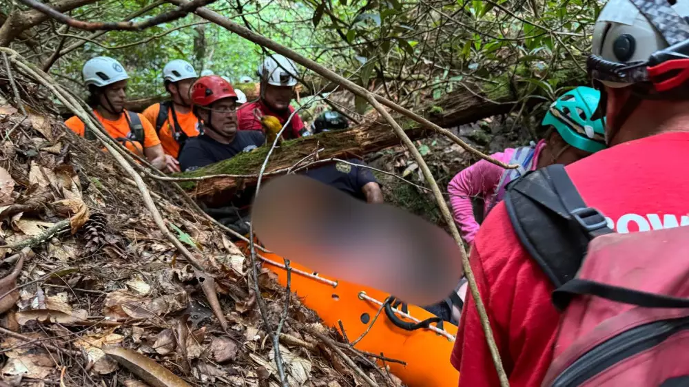 12 дней без еды и воды: туриста нашли живым спустя две недели поисков