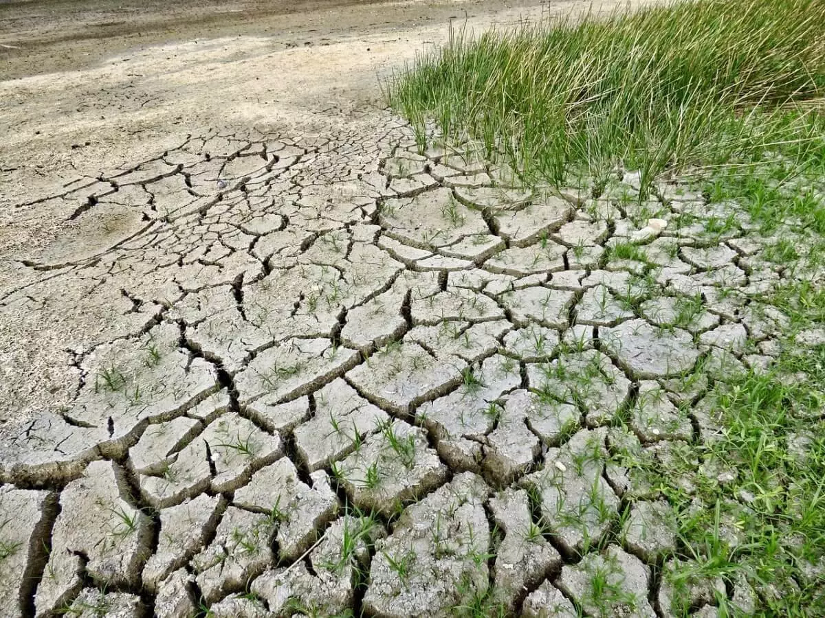 Засуха ожидается в ряде регионов Казахстана