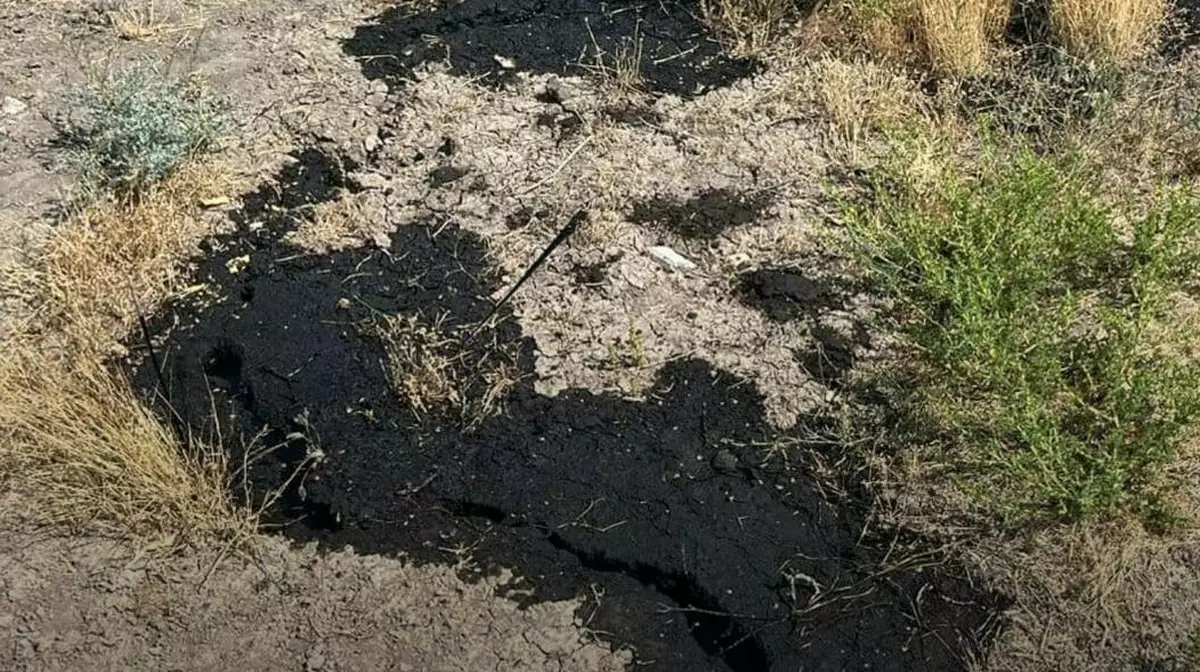Нефть обнаружили на территории атырауской школы