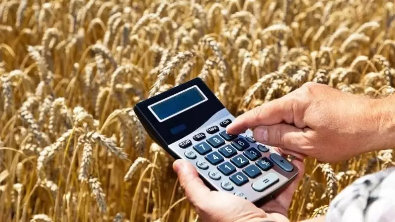 Рост производства или отказ в субсидиях: новые правила введут для аграриев в 2025 году