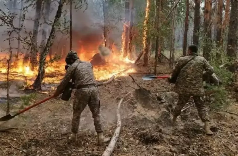 В Казахстане установят доплату работникам противопожарных лесных служб