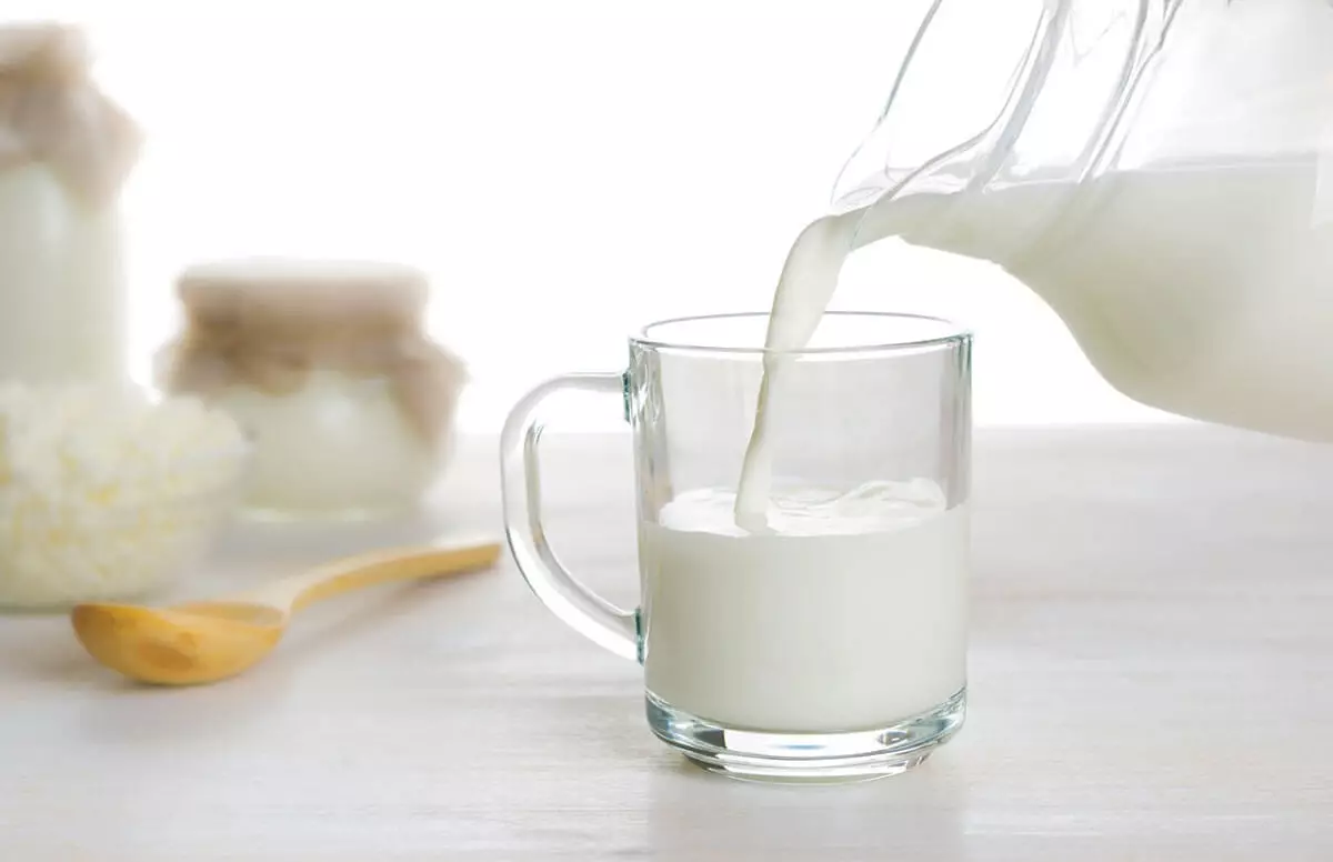 Около 200 тыс. тонн молока в год перерабатывают ВКО